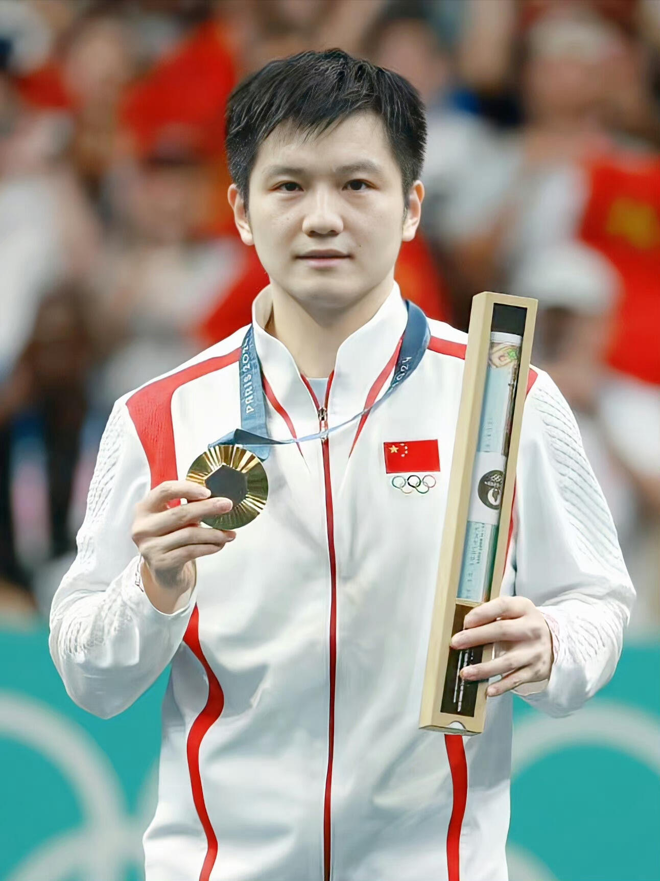 瑞典乒乓球队血洗法国乒乓球队,樊振东高光表现 瑞典乒乓球队血洗法国乒乓球队,樊振东高光表现