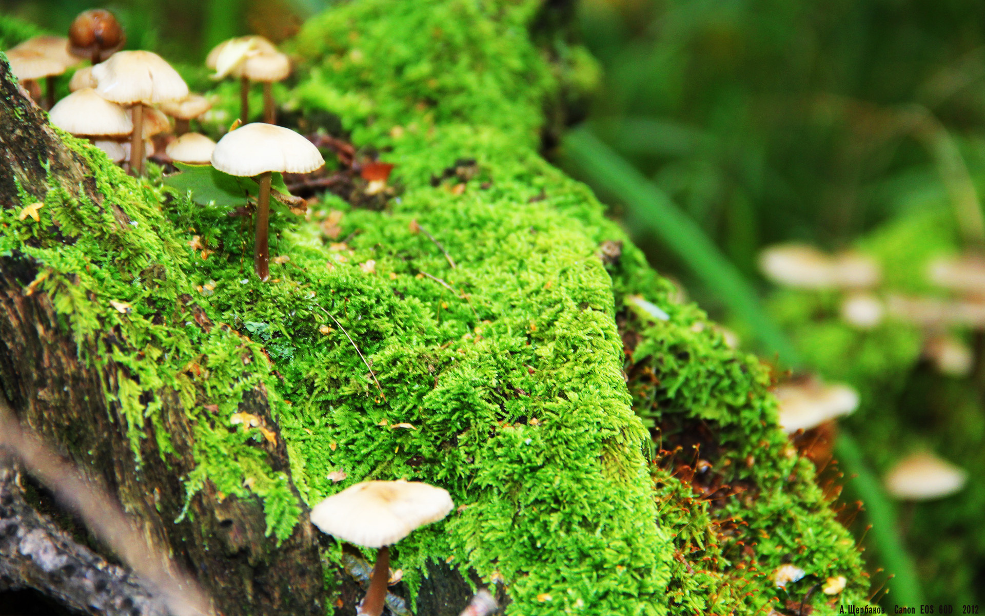 平行宇宙的交织，东决关键战如何单节定江山，黑色十连问引爆赛场