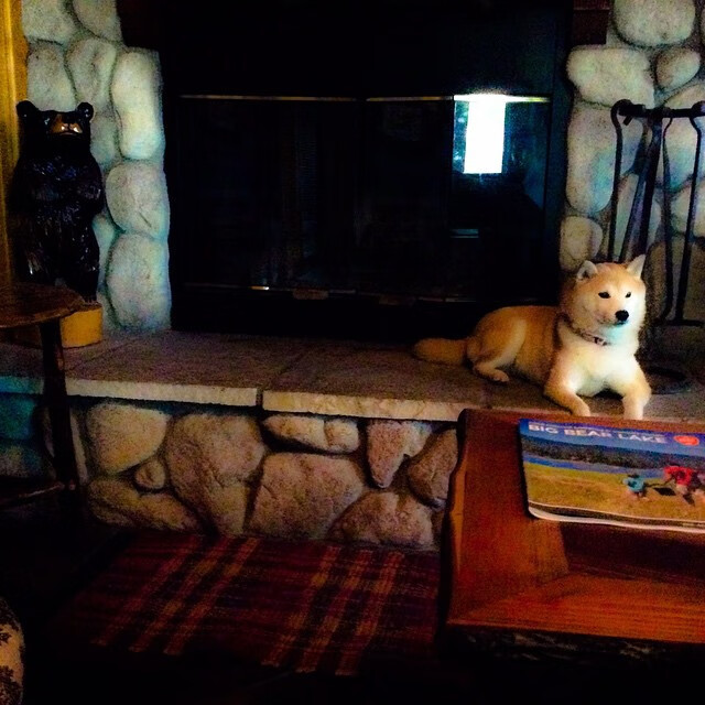 独步丹佛,布克无解进攻撕裂爵士防线