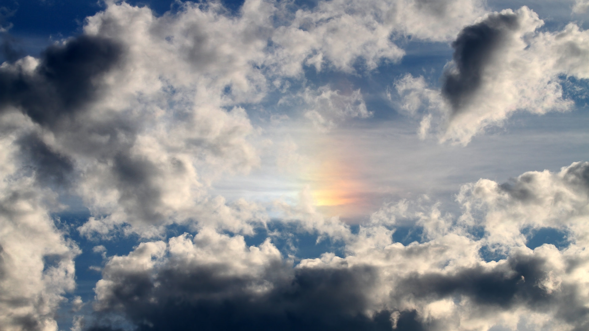 利刃破铁壁，克莱狂砍47分率黄蜂击碎深圳联防体系