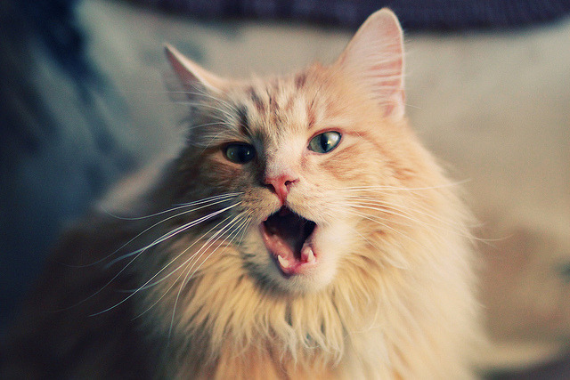 NBA赛场双重奏,利拉德逆境救赎,马刺团队之力压制凯尔特人