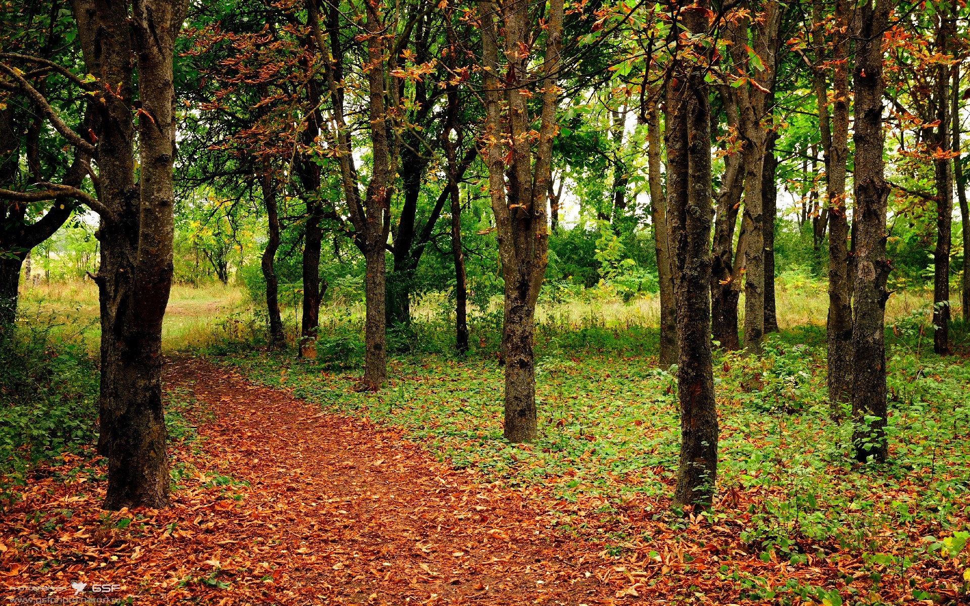 门迪满分封神！曼联单节轰塌亚特兰大