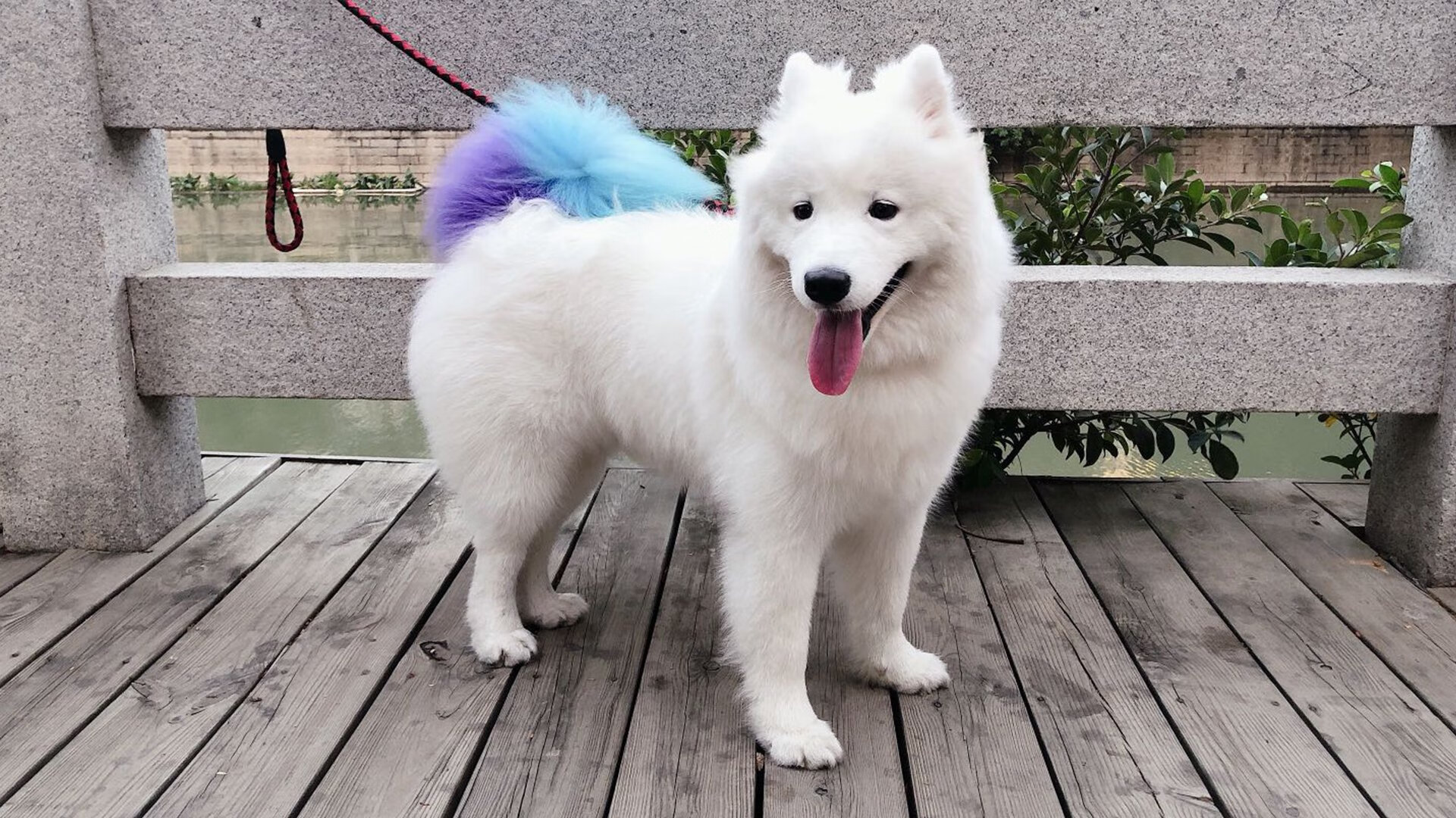 爱游戏在线-血性与叹息，富安健洋的铁血之夜，阿森纳在希腊越过马竞尸骸