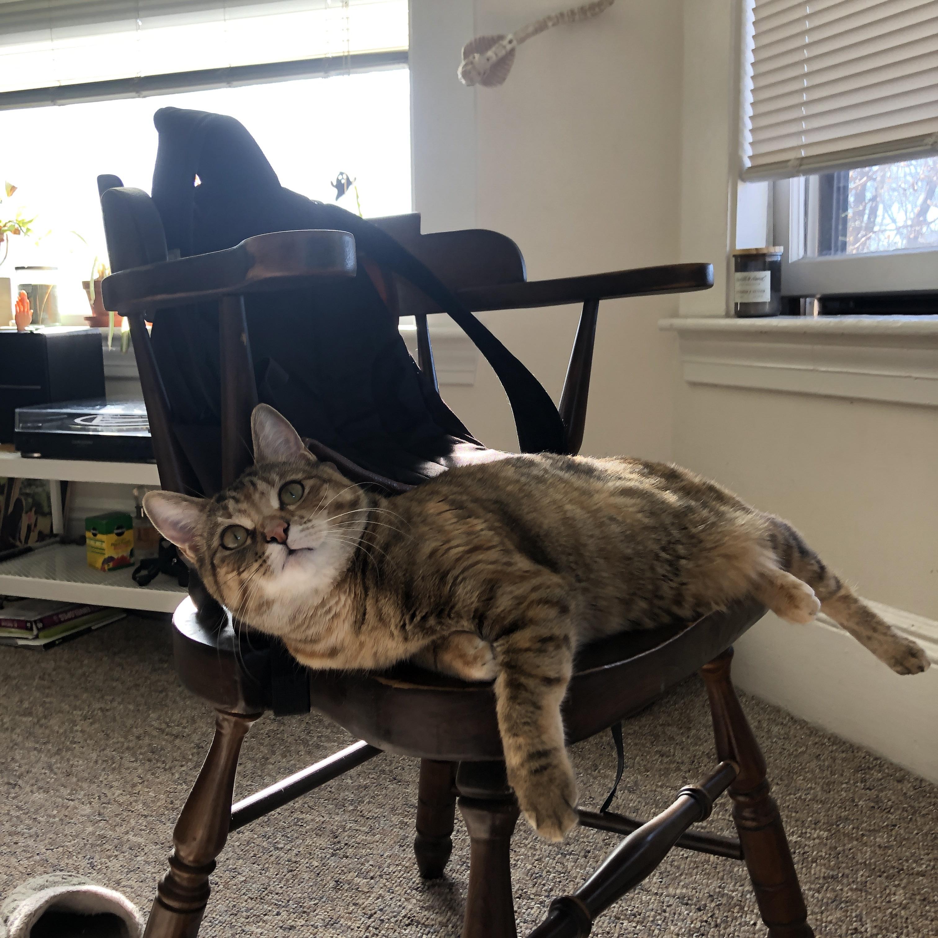 炼金术士与航海家，当克莱的三分雨淬炼独行侠的孤胆航线