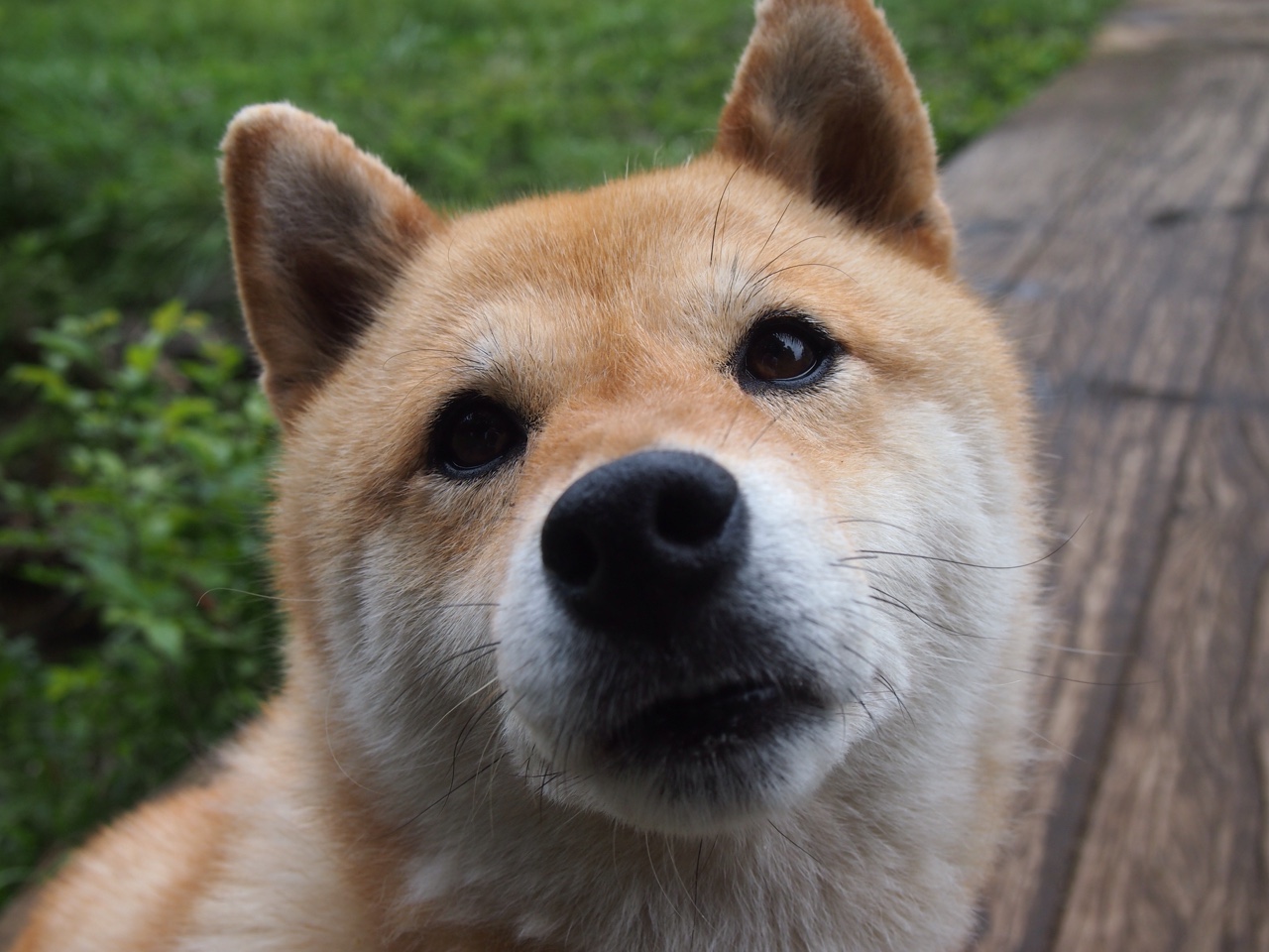 爱游戏入口-不为人知的布伦森，总决赛之夜，防守之谜如何破解？