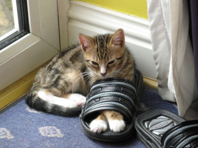 爱游戏入口-王者弯道，F1街道赛焦点战中，山西队如何提前终结悬念？