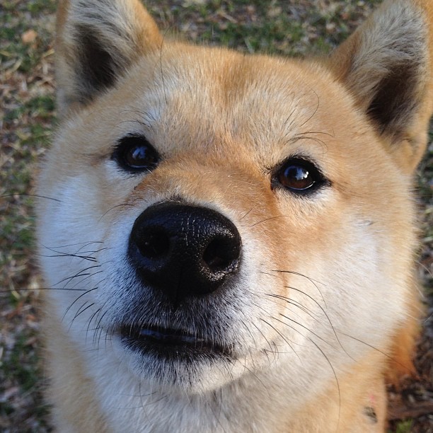 午夜救赎,加克波用一秒定义永恒的足球瞬间