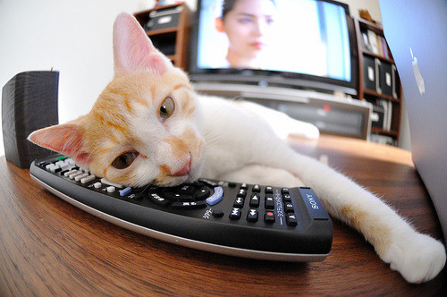 平行主宰，非洲之巅与NBA舞台的唯一性光芒