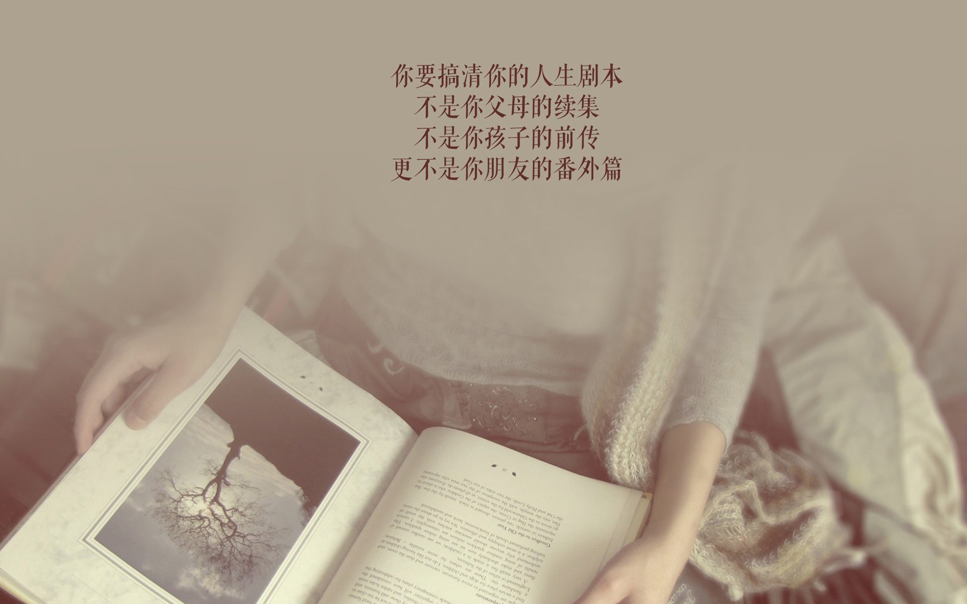 爱游戏官网-唯一性的胜利公式，当切特成为变量X，辽宁的答案早已注定