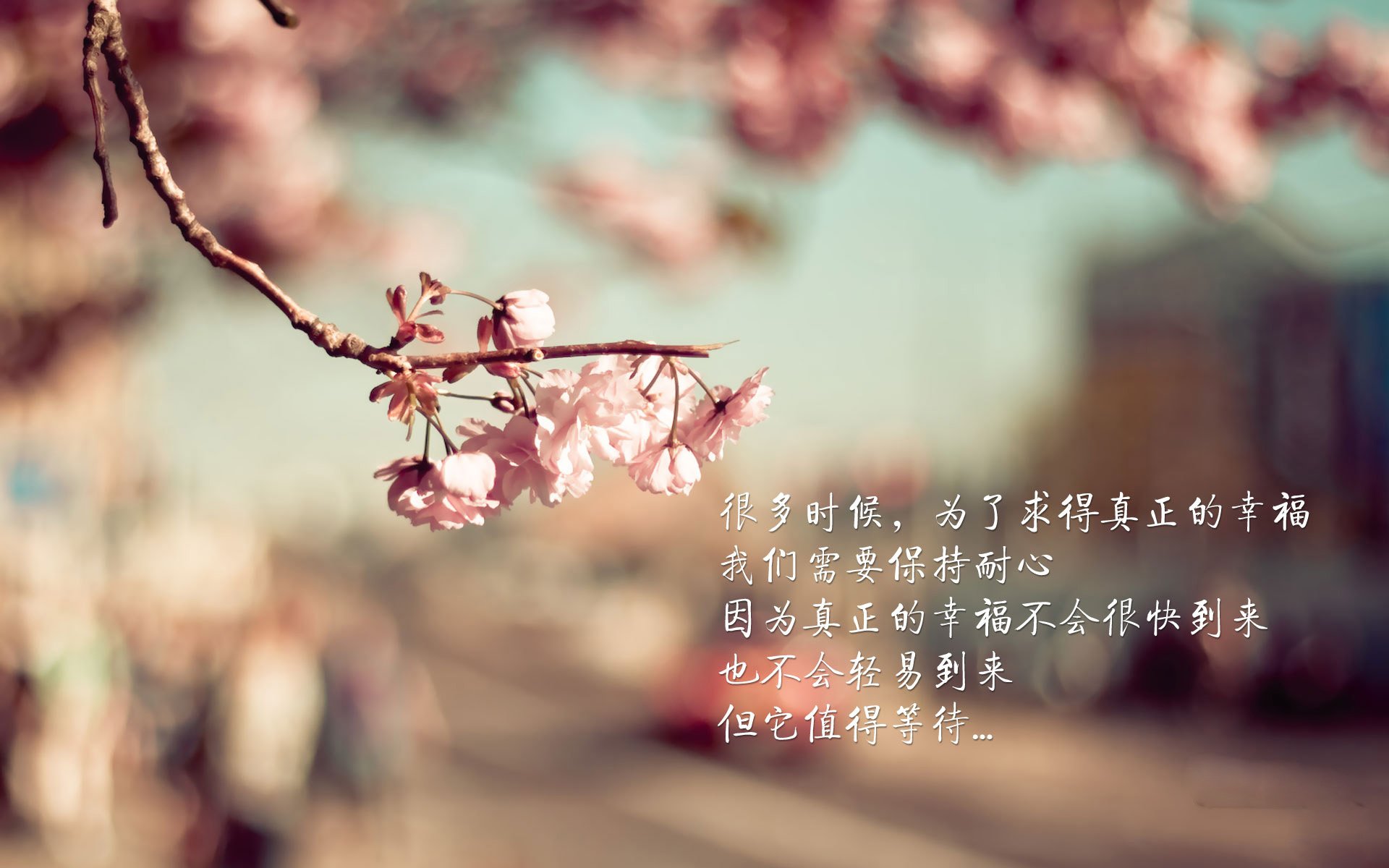 致命一击的黄昏,当托纳利撕裂2026世界杯E组的天平