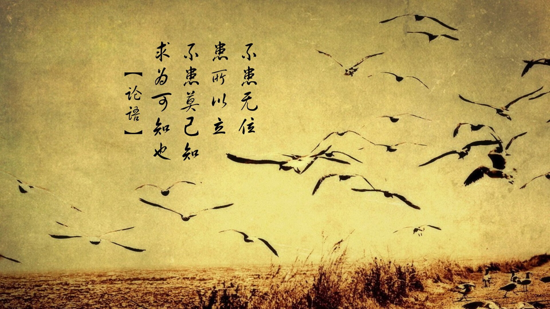 节奏之王的加冕,布罗佐维奇导演逆转绝杀,印度在2026世界杯G组焦点战击碎挪威童话