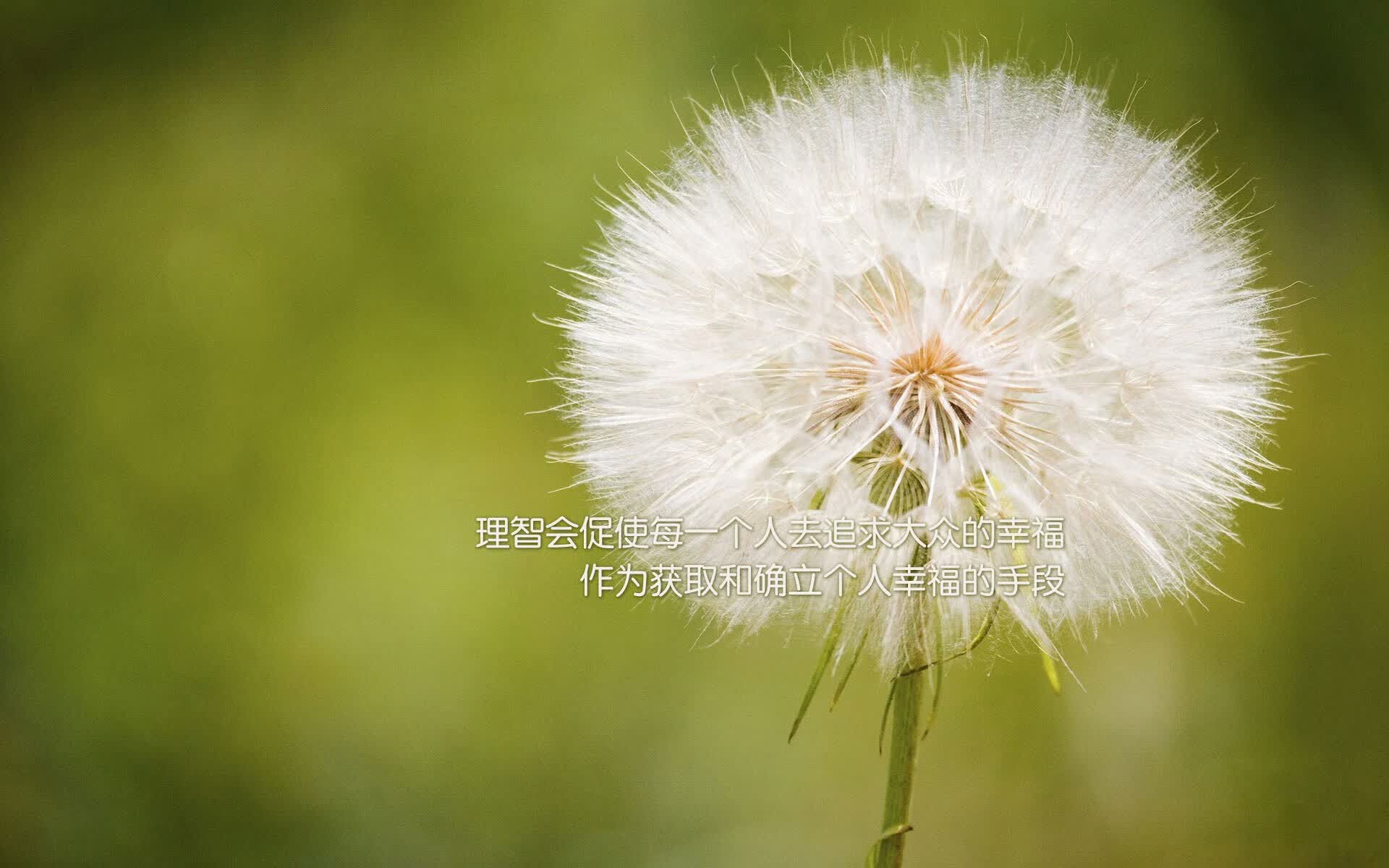 冰与火之歌,当北欧神话撕裂德意志战车—2026世界杯F组那场被加维诅咒的逆转