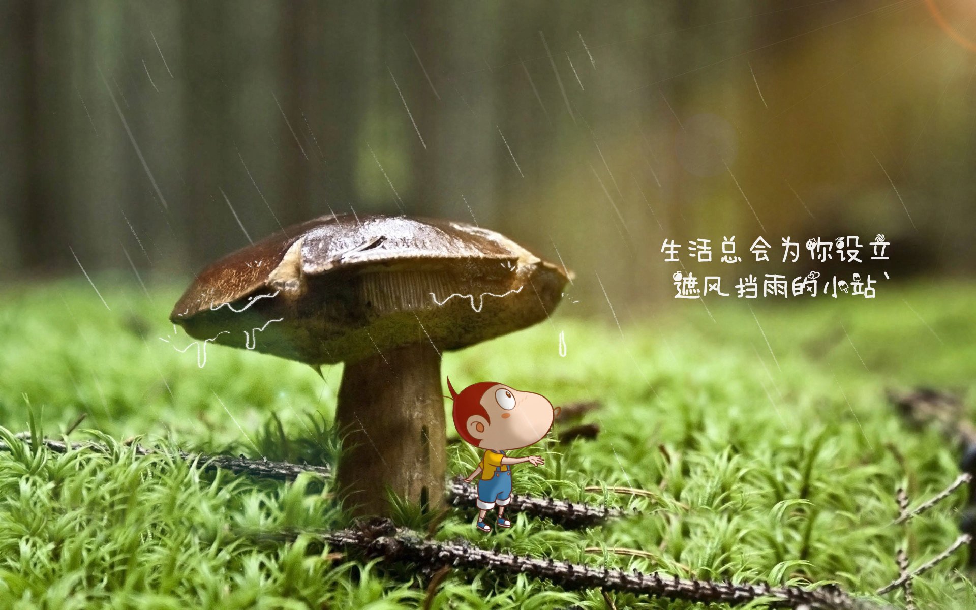 绝杀之夜,2026世界杯,越南的奇迹与C罗的不朽